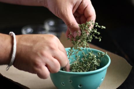 Gedroogde kruiden (basilicum en oregano)