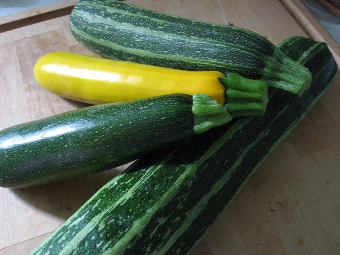 Courgette.  20 kcal / 100 g.